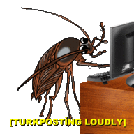 AttilaIsTurk