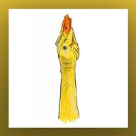 SilentDuck