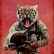 Skylab TIger