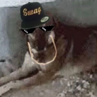 SGIII