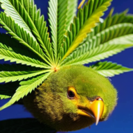 Keyweed