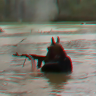 KrumBum