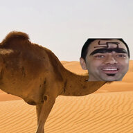 CaseyCamelGod