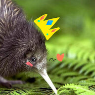 Miss Kiwifarms