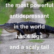 Smiggadigga