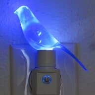 Blue Canary in the outlet