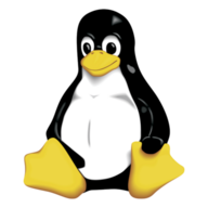 The LintuX dude