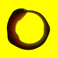 Ouro Boros