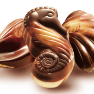 Chocolate Seahorse