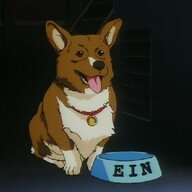EinTheCorgi42