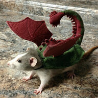 RatTube