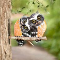 MetalOwls