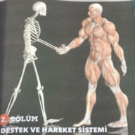 Frankoid