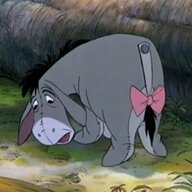 Balaam's Ass
