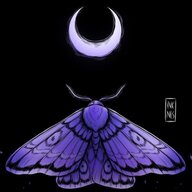 Lavender Moth