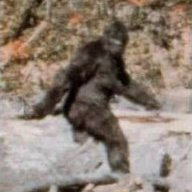 Sasquatch82