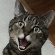 Despairagus