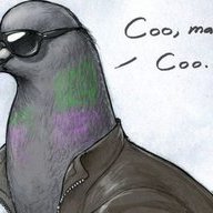 Coo Coo