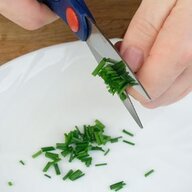 Sneedling