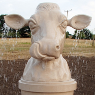 SleepingBull