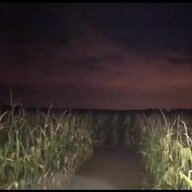 Ohio Incarnate