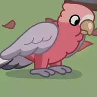 galah