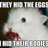 Bashful Bunny
