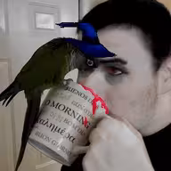 FierceBrosnan