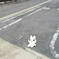 dfsdsfdsadsa