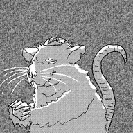 the rat
