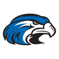 Blue Hawk