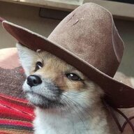 Slightly Racist Cowboy