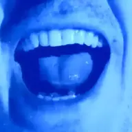 Top Zozzle