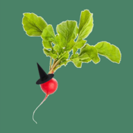 a radish