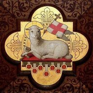 Wandering Sheep