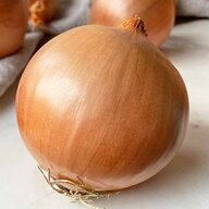 an unpeeled onion