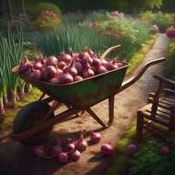 Onions_McGee