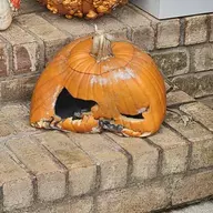 horrifiedbychins