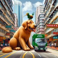 Hong Kong Long Dong Wongg
