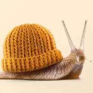 The Snail