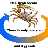 Crustacean Supremacy