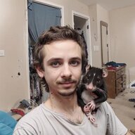 RatBehaviour