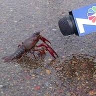 Crawdad
