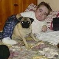 Dougie the puggy