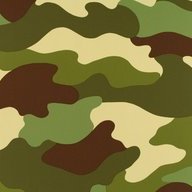 Camouflaged