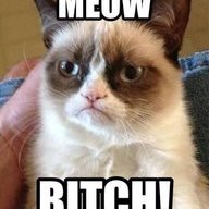MeowBitch