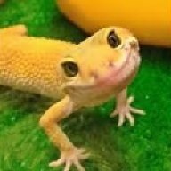 Lizard Lips
