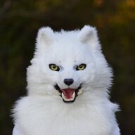 ArcticFoxHiro