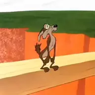 Disaffected Coyote