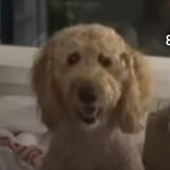 Theador Bradly